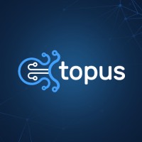 Octopus Software Solutions logo - Similar company to Layer Technologies Llc