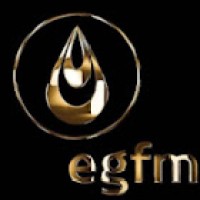 ETERNAL GLORIOUS FOUNTAIN MINISTRY LIMITED logo - Similar company to Thlphbt Designs Company