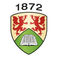 TrACE Aberystwyth logo - Similar company to D-Matcha