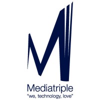 Mediatriple Internet Services logo - Similar company to Merinyas