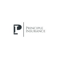 Principle Insurance logo - Similar company to Principle Insight