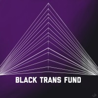 Black Trans Fund logo - Similar company to Black Trans Nation
