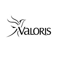 Valoris pour enfants et adultes de Prescott-Russell logo - Similar company to Valor & Solutions