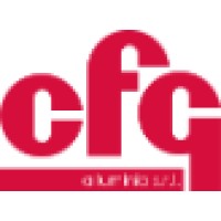 CFG alluminio srl logo - Similar company to Expirianet It Solution