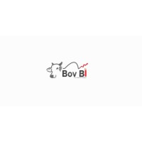 Bov BI - Business Intelligence for Agribusiness logo - Similar company to Bom Creative