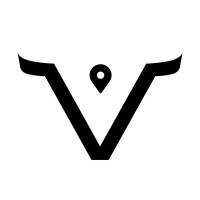 BoView logo - Similar company to Siecola Code