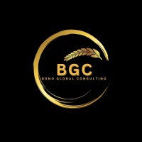 Bono Global Consulting logo - Similar company to Global Advisor Group