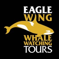 Eagle Wing Whale & Wildlife Tours logo - Similar company to Watoosee