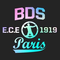BDS ECE Paris logo - Similar company to Ultra Ece