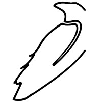 Raven Consultancy logo - Similar company to Vortek