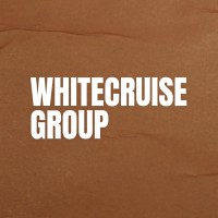 Whitecruise Group logo - Similar company to Bagosta