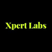 Xpert logo - Similar company to Xpert Matters