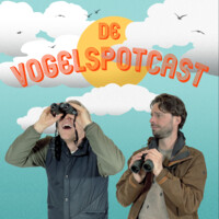 Vogelspotcast logo - Similar company to Akte Ai