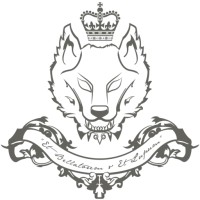 Nouvelle Firm Financial logo - Similar company to Ascendant Arrow Inc.