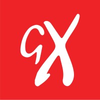 GadgetroniX.net LTD logo - Similar company to Connect