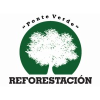 Reforestación 