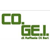 Co.Ge.I. logo - Similar company to Osix