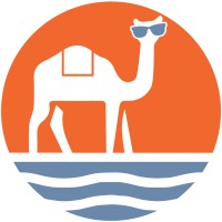 The Sunglass Menagerie