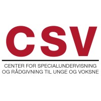 CSV Kolding logo - Similar company to Flair Group