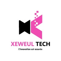 XeweulTech logo - Similar company to Senagri Drones