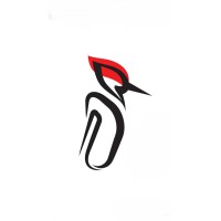 Darkoob Rope access logo - Similar company to I4Twins