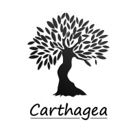 CARTHAGEA logo - Similar company to Ilaneo