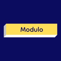 Modulo Network logo - Similar company to Teetsh