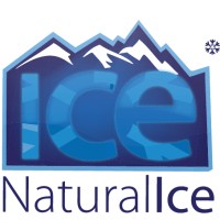 ICE NATURAL ICE INDUSTRY LLC logo - Similar company to Msi Biotech