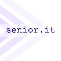 Senior-it logo - Similar company to Ict Solutions
