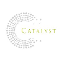 Catalyst Business Advocates