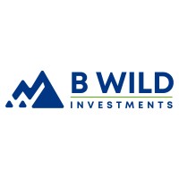B Wild Investments, LLC logo - Similar company to Amplicity Partners