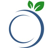 Blueberry Technology Inc logo - Similar company to Soliddd Corp