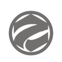 Ziwei Tech logo - Similar company to Xin Weisheng