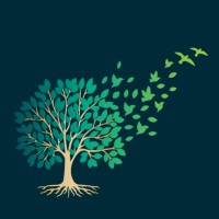 Evolve Family Lawyers logo - Similar company to Hr Seekers