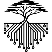 Silicon Savannah Solutions logo - Similar company to Identisys Ltd - Kenya