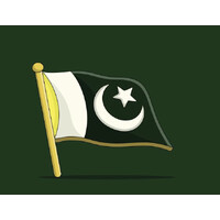 Pakistani in Finland logo - Similar company to Alignbyte