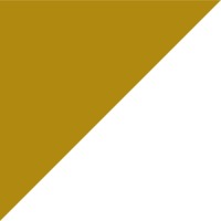 Epiontis GmbH (now Precision for Medicine) logo - Similar company to Giptis (Genetics Institute For Patients, Therapies, Innovation & Science)