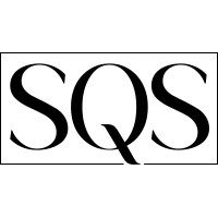 SynergiQuest Strategies Group Ltd. logo - Similar company to Fireseeds North Infrastructure