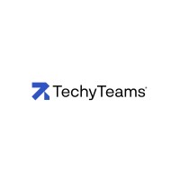 TechyTeams logo - Similar company to Borderline Group