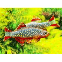 BE FISH logo - Similar company to Big Fish · Smart Store