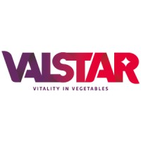 Valstar logo - Similar company to Argos Packaging & Protection
