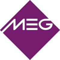 The Medical Export Group BV logo - Similar company to 4Supplychain Consulting