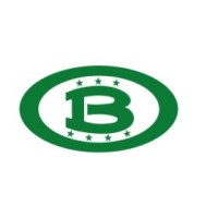 Braspenning Interim Romania logo - Similar company to Braspenning Interim