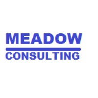 Meadow Consulting logo - Similar company to Good Cx