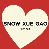 SNOW XUE GAO logo - Similar company to Esp Camera