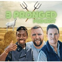 3 pronged podcast logo - Similar company to Ilimex Ltd