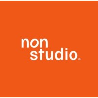 non studio mx logo - Similar company to Bioxnet Web & Branding