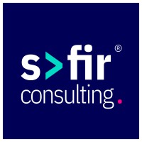 Safir Consulting logo - Similar company to Msftswrld