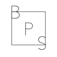 Bigger Picture Solutions logo - Similar company to Synergy Tech Solution, Llc