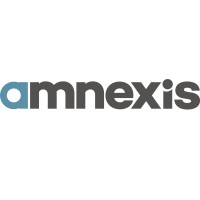 Amnexis Deutschland logo - Similar company to Hammer Infotech